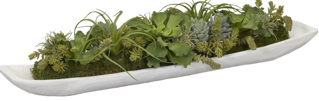 Havertys Succulent Boat Succulent