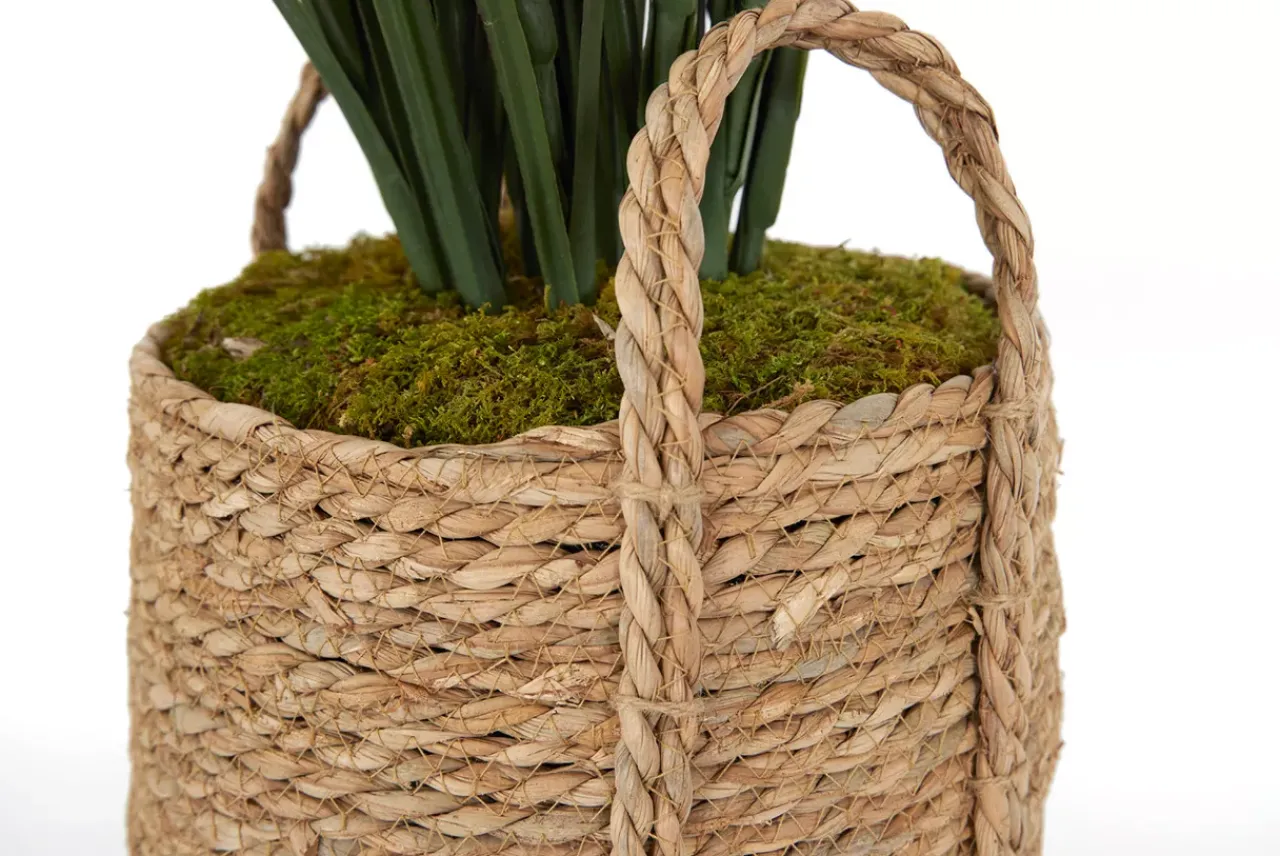 Havertys Tall Grass Floral Discount