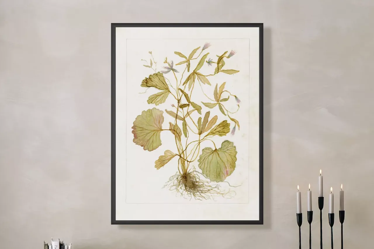 Havertys Timeless Foliage Wall Art Discount