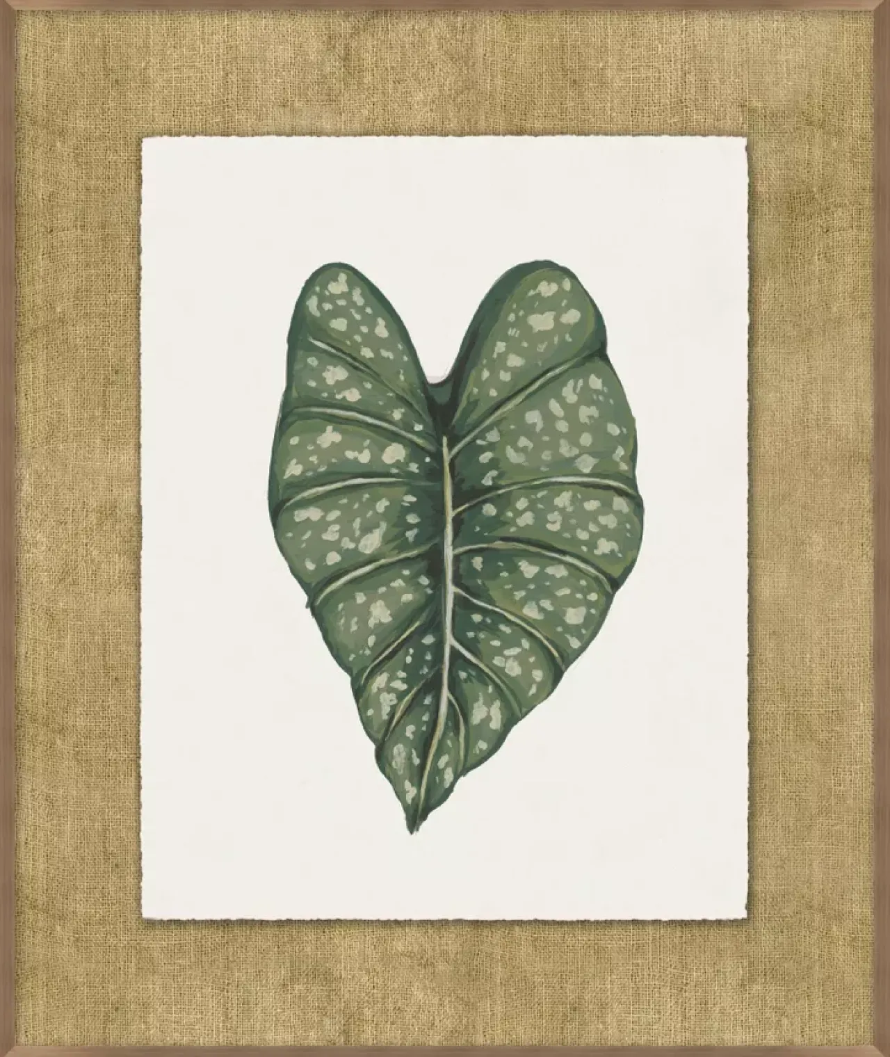 Havertys Timeless Tropics Wall Decor Outlet