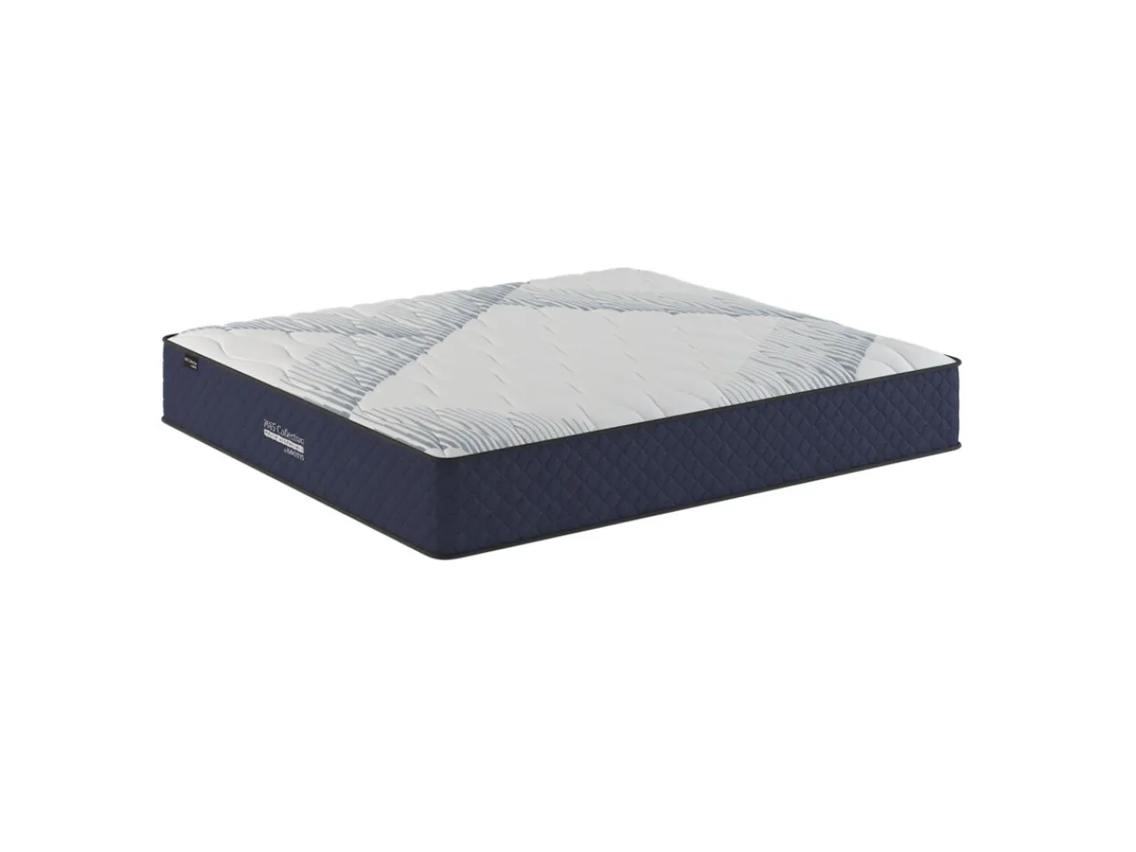 Havertys 1885 Youth Essentials Plush Mattress New
