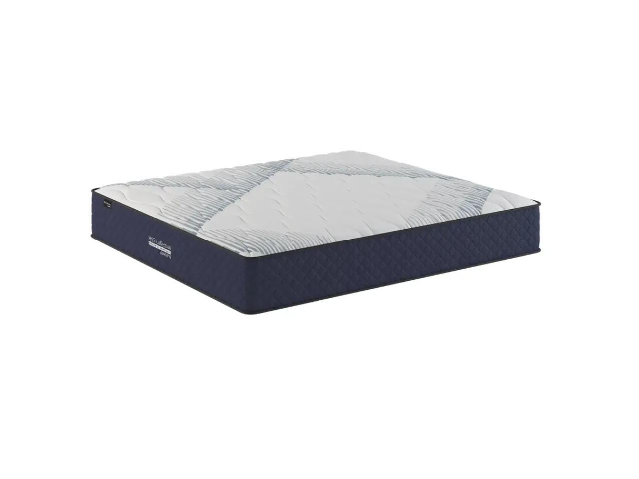 Havertys 1885 Youth Essentials Plush Mattress New