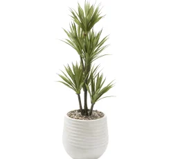 Havertys Yucca Tree Discount